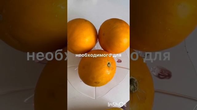 Кызылординская дыня Ангелек-Жамбылша🙏 смотреть онлайн