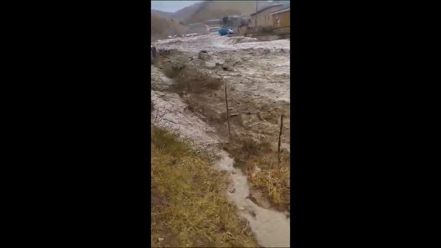 Сел дар Вахдат офати таби дахшатли сел #2023 #рекомендации #шортс #душанбе #trend смотреть онлайн