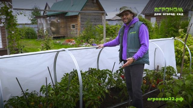 Стальной парник Агрощит