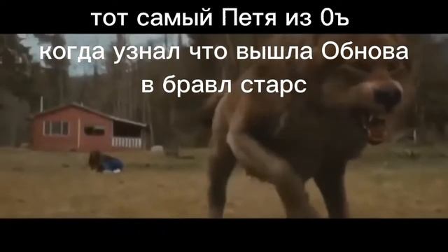 #мем #рекомендации #юмор #смехдослез #смешно #петя #бравл #волк #смех смотреть онлайн