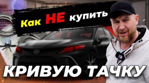 Угон, перебитый VIN, поддельные документы. КАК НЕ потерять ДЕНЬГИ?