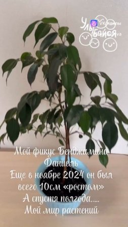 clip217117901_456239049