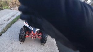 Квадро покатушки на kayo ay 150 и at 110.