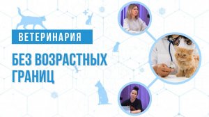 Без возрастных границ