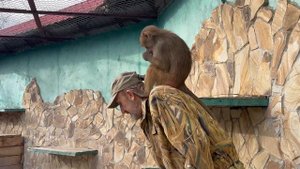 Мы вернулись в Тайган и Люська с компанией просто НЕ О?