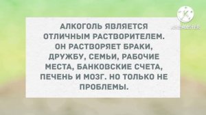 - Алло, Роза! Нас обокрали или ты ушла от меня? Анекдоты.