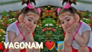 ДУХТАРАМ 💖ТОЧИ САРАМ 💖HUSSEIN AMINI💖ДУХТАРАМ ТОЧИ САРАМ?