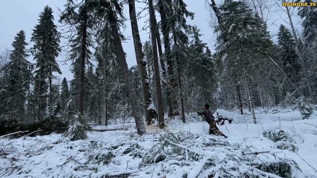 Лесозаготовка от А до Я. Валка и обрубка леса, вывоз ле?