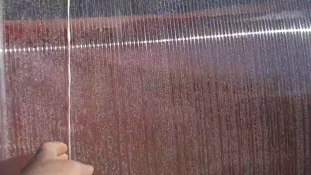 Сегодня вторник // если томаты жируют смотреть онлайн