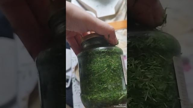 Укроп на зиму смотреть онлайн