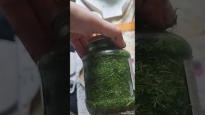 Укроп на зиму