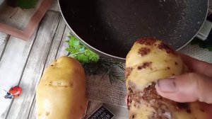 картошка проволочник вредитель