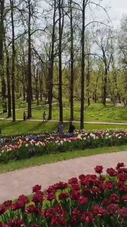 Меня скрывает скрытая камера Александры 20.05.25.