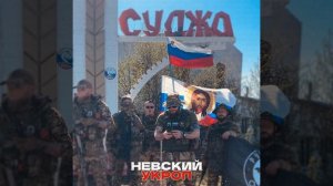 Укроп