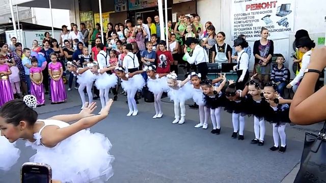 Наши лебеди. Выступают в бурундае