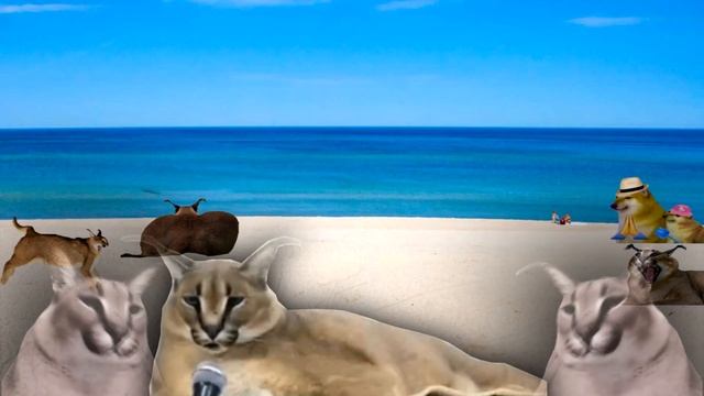 Летний Шлепа рекламирует Шлепанцы. смотреть онлайн