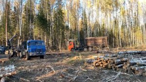 Урал, камаз, 4310 4320 лесовозы