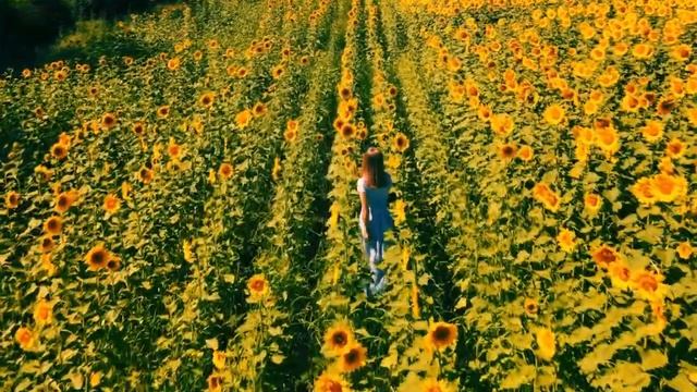 "ВО ИМЯ ХРИСТА" - Анастасия Вишня.-Авторы Татьяна и Игор смотреть онлайн