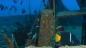 Земля: Жизнь без людей (2008)