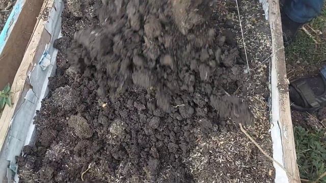 Ура 👏 а-а-а-а-а вырастила картошку в мешках .20 сентябр? смотреть онлайн