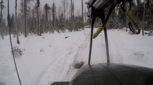 Первый выезд Урал лесовоз, сезон 2024-2025.