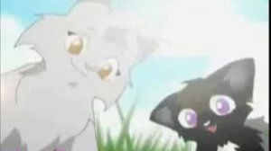 Стань диким мультфильм коты воители