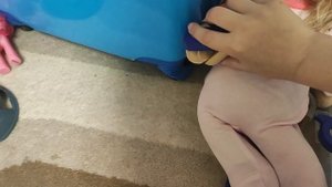 Собачка Лаки на осмотре у врача