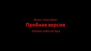 прикол про диану шурыгину