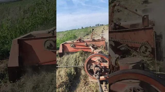 пресс-подборщик Киргизстан с вязальный аппарат немец смотреть онлайн