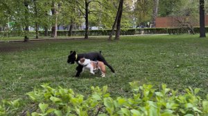 Играть можно оооочень долго))