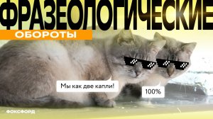 Фразеологические обороты | Русский язык, 4 класс