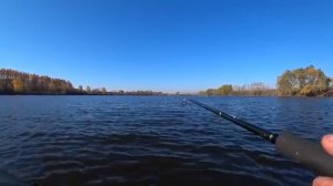 Рыбалка на спиннинг на пруду.Ловля щуки осенью.Рыбалка в октябре.