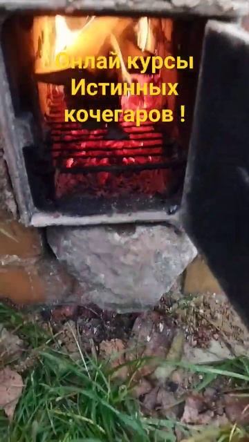 Онлайн курсы истинных кочегаров! смотреть онлайн