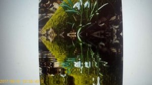 рЫма чек -притворяясь бедной , хочет халявы