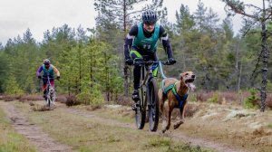 Драйленд Белые Ночи 2025, велосипед, Вуди, первый этап / Dryland White Nights 2025, bike first race