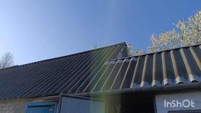 #купянский рн 🇺🇦 Посадили картошку,🥔посеяла цветы? смотреть онлайн