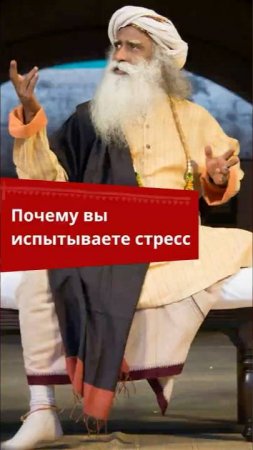 Причина стресса — не жизнь, а неумение с ней обращаться