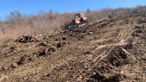 Дт-75 корчевание