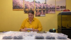 3 серия ЖИМОЛОСТЬ замер сахара в брикс