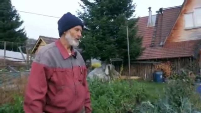 Жизнь на земле и взаимопомощь