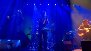 Фикус религиозный, БГ+