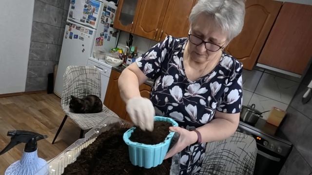 Жизнь в деревне: сажаем помидоры для рассады смотреть онлайн