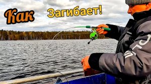 Ловим окуня на донку с лодки. Весенняя рыбалка в Карелии