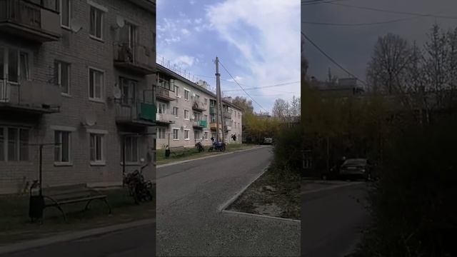 Буду лечить почки листьями петрушки... для донатов 8902736 смотреть онлайн