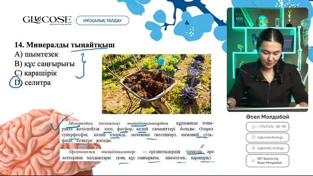 БИОЛОГИЯ НҰСҚА ТАЛДАУ | ҰТО ЖАҢА ФОРМАТ | 1-ЭФИР | ҰБТ 2025 смотреть онлайн