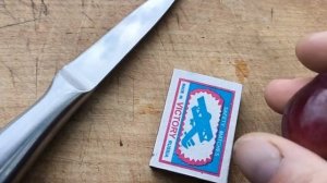 РУБИН ЛУГАНСКИЙ виноград