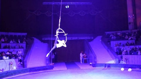 Новосибирский цирк Митязов Степан Лауреат 1 степени сентябрь 2018