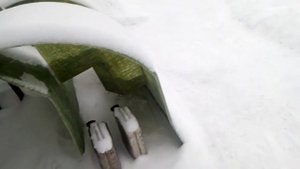 Квадроход "Абсолют" для ХМАО.