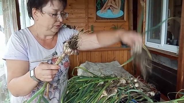 Чеснок убрала🧄/Лук закрыла🧅/Первая картошка🥔/Земл?