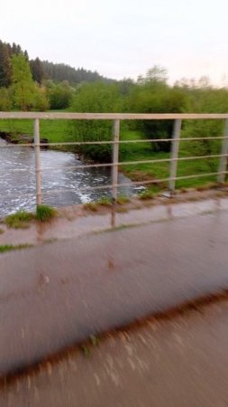 Ливень и приключения на фэтбайке Velosvet: My adventures on two wheels